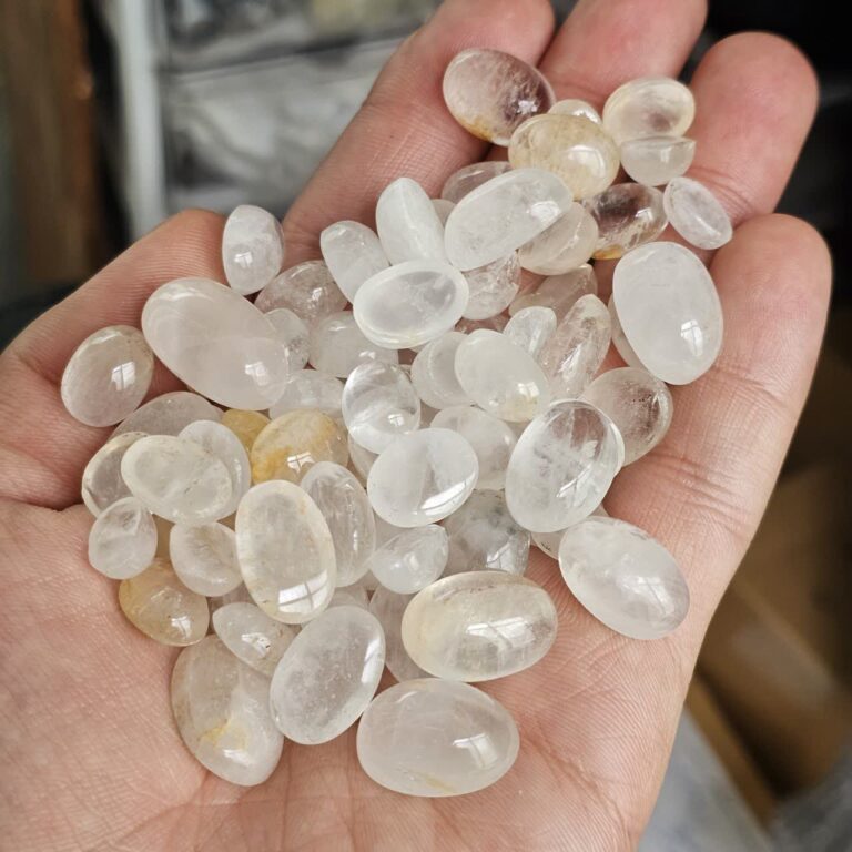 در نجف